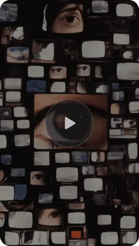 suno-information-img